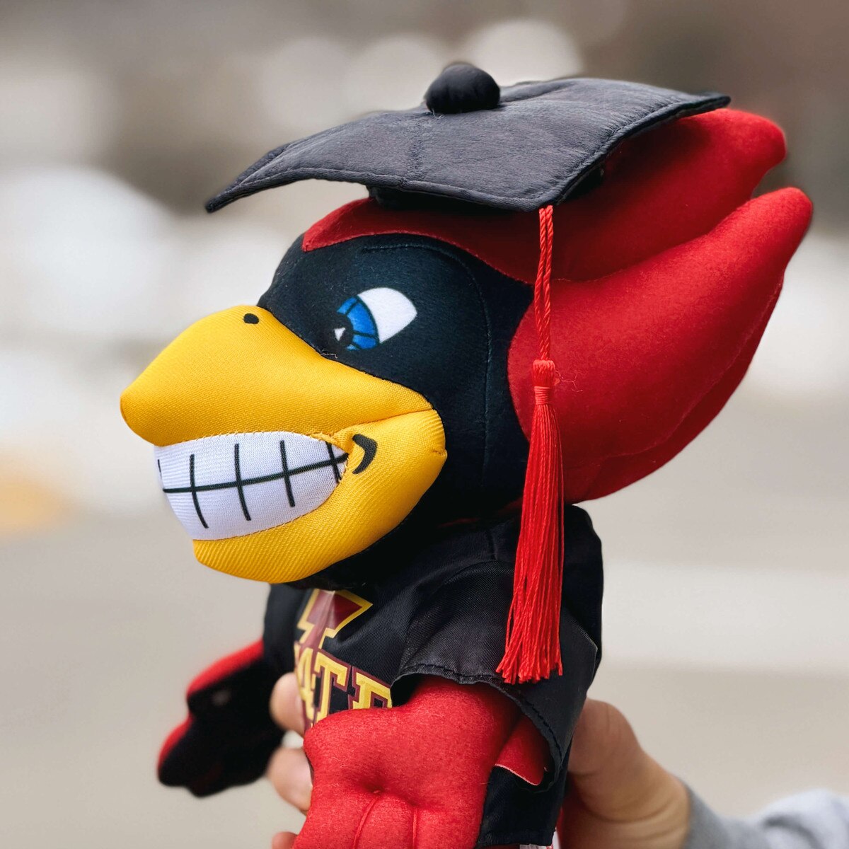 Graduation Cy Plush Toy (11")